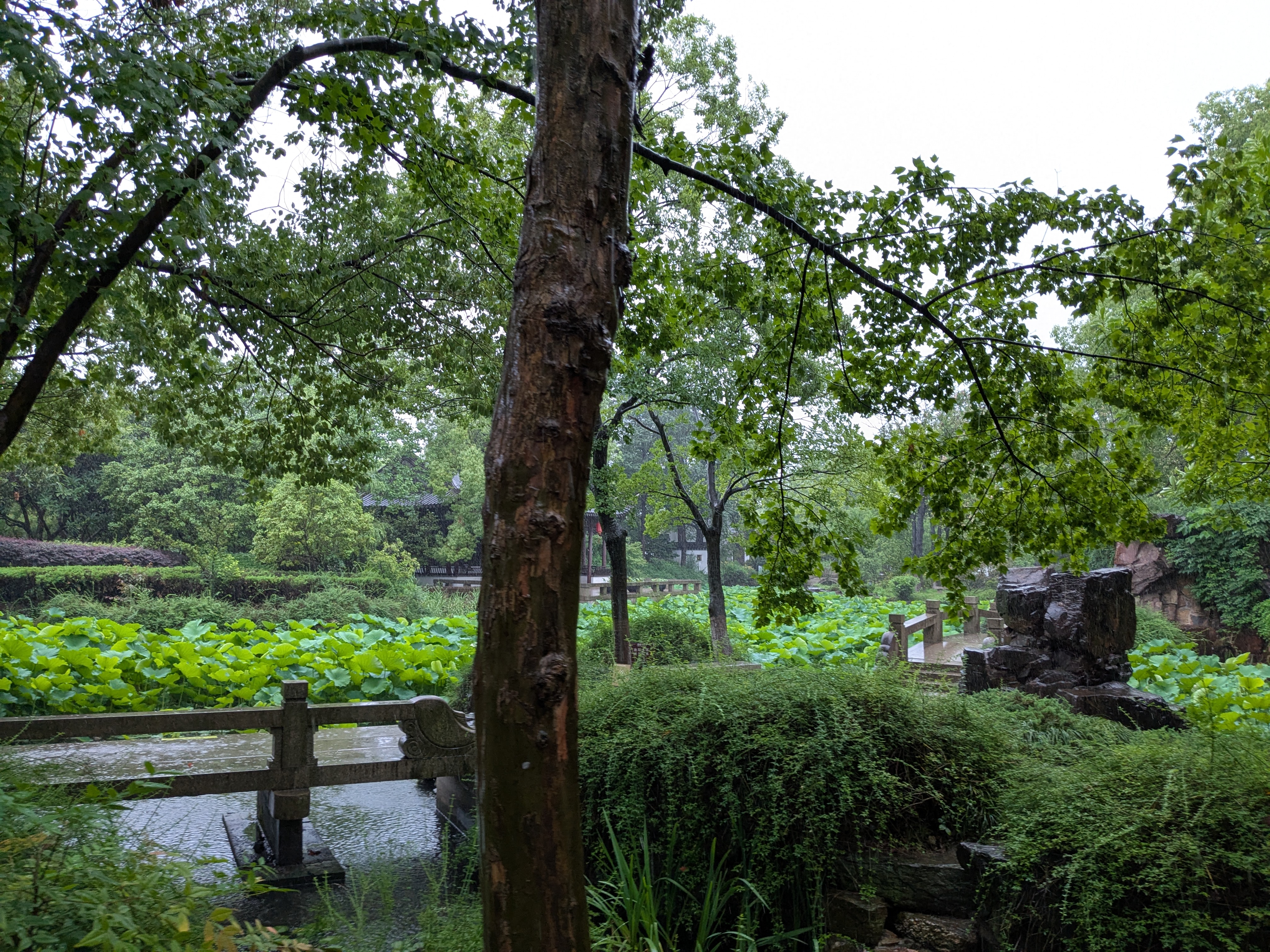 The ancient Zhaoyuan Garden complex in Changshu, China